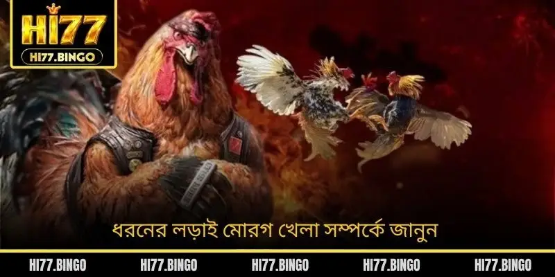 ধরনের লড়াই মোরগ খেলা সম্পর্কে জানুন