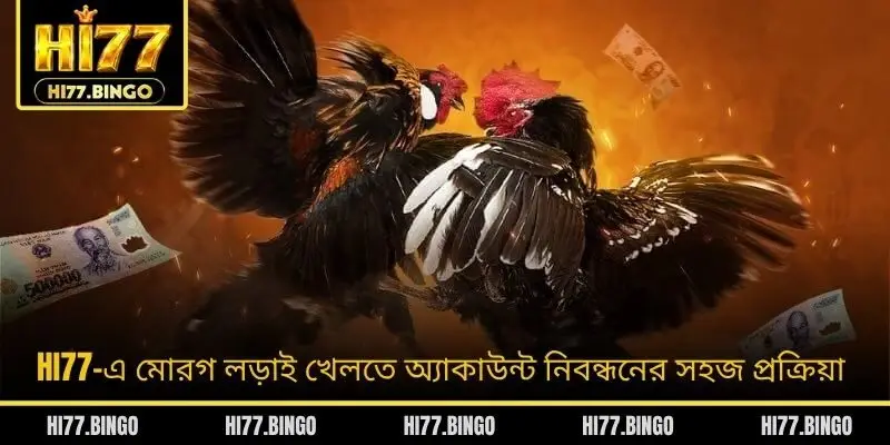 HI77-এ মোরগ লড়াই খেলতে অ্যাকাউন্ট নিবন্ধনের সহজ প্রক্রিয়া